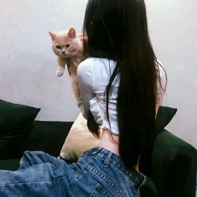 天上的风在线观看